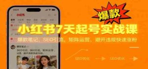 小红书7天起号实战课:爆款笔记,SEO引流,矩阵运营,避开违规快速涨粉-中创网_分享创业项目_助您在家赚钱