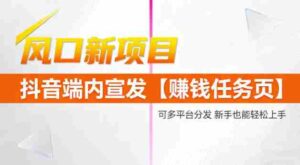 风口新项目，抖音端内宣发【賺钱任务页】，可多平台分发，新手也能轻松上手-中创网_分享创业项目_助您在家赚钱