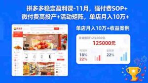 (16557期)拼多多稳定盈利课-11月,强付费SOP+微付费高投产+活动矩阵,单店月入10w+-中创网_分享创业项目_助您在家赚钱