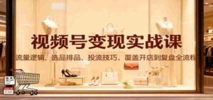 视频号变现实战课:流量逻辑、选品排品、投流技巧,覆盖开店到复盘全流程-中创网_分享创业项目_助您在家赚钱