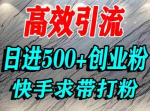 怎么打创业粉?快手求带视角精准引流创业粉,宝妈、学生群体日进500+精准流量-中创网_分享创业项目_助您在家赚钱