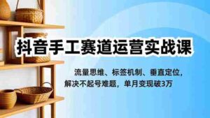 (16667期)抖音手工赛道运营实战课,流量思维、标签机制、垂直定位,解决不起号难题,单月变现破3万-中创网_分享创业项目_助您在家赚钱
