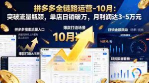 (16462期)拼多多全链路运营-10月:突破流量瓶颈,单店日销破万,月利润达3-5万元-中创网_分享创业项目_助您在家赚钱