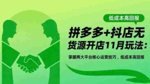(16546期)拼多多+抖店无货源开店11月玩法:掌握两大平台核心运营技巧,低成本高回报-中创网_分享创业项目_助您在家赚钱