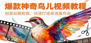爆款神奇鸟儿视频教程，创意后期剪辑，快速打造高流量作品-中创网_分享创业项目_助您在家赚钱