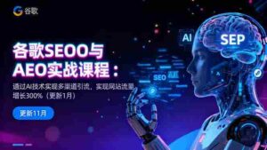 (16463期)谷歌SEO与AEO实战课程:通过AI技术实现多渠道引流,实现网站流量增长300%-中创网_分享创业项目_助您在家赚钱