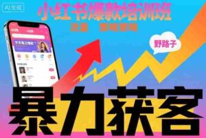 小红书爆款培训班，小红书获客野路子流量打法，暴力持续获客-中创网_分享创业项目_助您在家赚钱