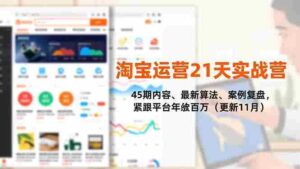 (16701期)淘宝运营21天实战营,45期内容、最新算法、案例复盘,紧跟平台年入百万(更新11月)-中创网_分享创业项目_助您在家赚钱