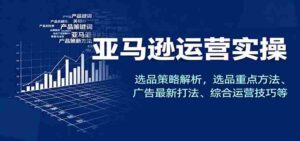 亚马逊运营实操,选品策略解析,选品重点方法、广告最新打法、综合运营技巧等-中创网_分享创业项目_助您在家赚钱