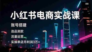 (16615期)小红书电商实战课,账号搭建,选品测款,流量运营,实操月利润3万+-中创网_分享创业项目_助您在家赚钱