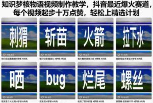 知识梦核物语视频制作教学，抖音最近爆火赛道，每个视频起步十万点赞，轻松上精选计划-中创网_分享创业项目_助您在家赚钱