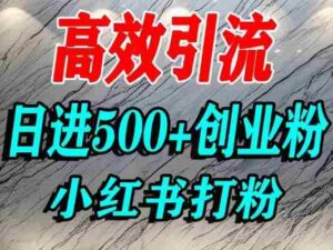 怎么打创业粉？小红书预算3000项目推荐引流精准创业粉，单人操作日引500+精准创业粉-中创网_分享创业项目_助您在家赚钱