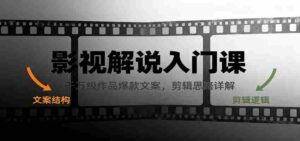 影视解说入门课，千万级作品爆款文案，剪辑思路详解-中创网_分享创业项目_助您在家赚钱