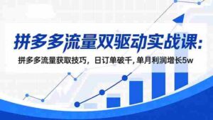 (16563期)拼多多流量双驱动实战课:拼多多流量获取技巧,日订单破千,单月利润增长5w-中创网_分享创业项目_助您在家赚钱