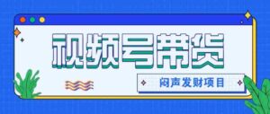 微信视频号带货项目，轻松日赚赚2000+，这个挣钱入口很多伙伴都在闷声发财-中创网_分享创业项目_助您在家赚钱