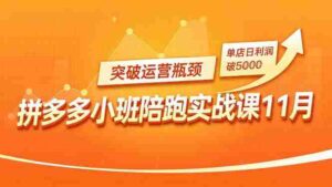 (16654期)拼多多小班陪跑实战课11月,强付费矩阵、原价活动、暗券引流,突破运营瓶颈,单店日利润破5000-中创网_分享创业项目_助您在家赚钱