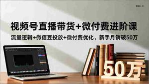 (16684期)视频号直播带货+微付费进阶课:流量逻辑+微信豆投放+微付费优化,新手月销破50万-中创网_分享创业项目_助您在家赚钱