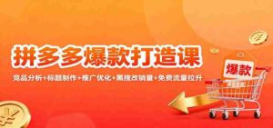 拼多多爆款打造课:竞品分析+标题制作+推广优化+黑搜改销量+免费流量拉升-中创网_分享创业项目_助您在家赚钱