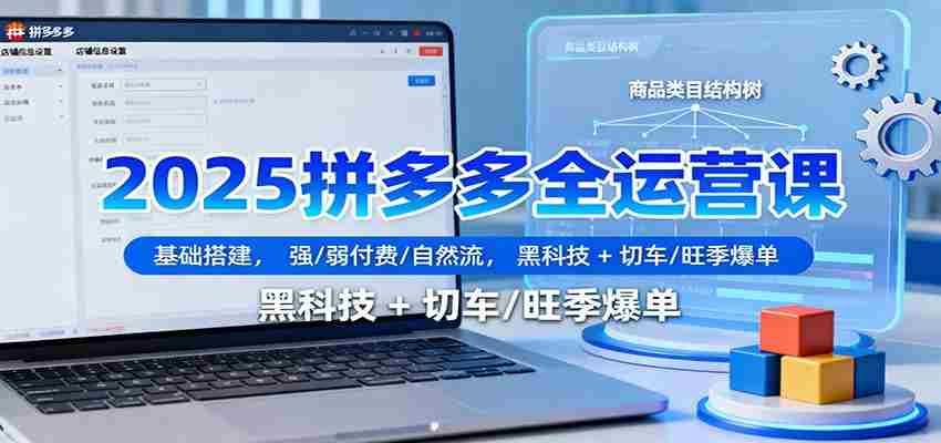 2025拼多多全运营课：基础搭建，强/弱付费/自然流，黑科技 + 切车/旺季爆单-中创网_分享创业项目_助您在家赚钱