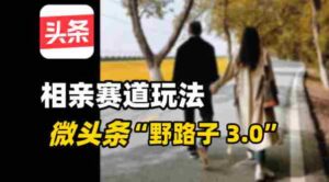 微头条“野路子3.0”相亲赛道玩法，搬砖式操作单号稳定3张-中创网_分享创业项目_助您在家赚钱