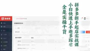 (16584期)拼多多新手起店实战课:小白快速上手拼多多运营,避开踩坑,全是实操干货-中创网_分享创业项目_助您在家赚钱