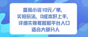 番茄小说10米每单,实拍玩法,0成本好上手,详细实操教程和平台入口适合大部分人-中创网_分享创业项目_助您在家赚钱