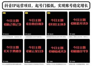 抖音IP运营项目,抖音今日主题玩法,起号门槛低,实现账号稳定增长-中创网_分享创业项目_助您在家赚钱