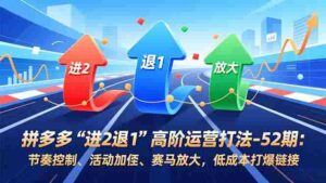 (16768期)拼多多“进2退1”高阶运营打法-52期:节奏控制、活动加权、赛马放大,低成本打爆链接-中创网_分享创业项目_助您在家赚钱