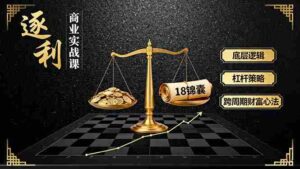 (16753期)《逐 利》商业实战课,底层逻辑、杠杆策略、18锦囊,跨周期财富心法(更新)-中创网_分享创业项目_助您在家赚钱