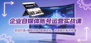 企业自媒体账号运营实战课：定位打造+ 爆款内容+数据优化，快速提升账号权重-中创网_分享创业项目_助您在家赚钱