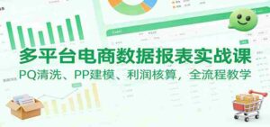 多平台电商数据报表实战课：PQ清洗、PP建模、 利润核算，全流程教学-中创网_分享创业项目_助您在家赚钱