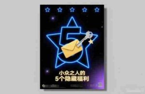 付费文章:小众之人的5个隐藏福利-中创网_分享创业项目_助您在家赚钱