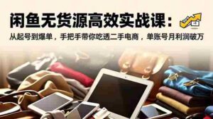 (16875期)闲鱼无货源高效实战课:从起号到爆单,手把手带你吃透二手电商,单账号月利润破万-中创网_分享创业项目_助您在家赚钱