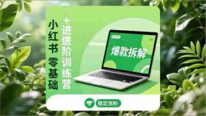 (16801期)小红书零基础+高阶训练营:安全养号、爆款拆解、长效运营,实现稳定涨粉与变现-中创网_分享创业项目_助您在家赚钱