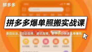 （16838期）拼多多爆单照搬实战课，类目玩法、活动选择、避坑指南，新手小白快速出单赚钱-中创网_分享创业项目_助您在家赚钱