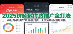 2025拼多多付费推广全打法:微付费/高投产/瞬烧/强付费,全玩法解析+落地实操-中创网_分享创业项目_助您在家赚钱