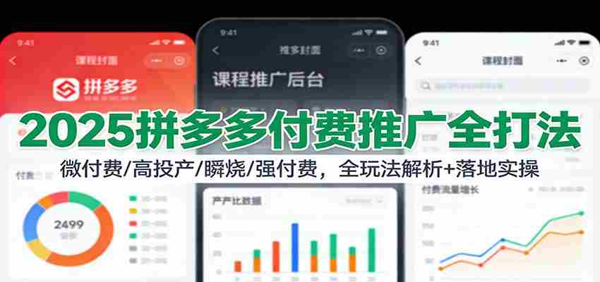2025拼多多付费推广全打法：微付费/高投产/瞬烧/强付费，全玩法解析+落地实操-中创网_分享创业项目_助您在家赚钱