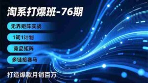 (16914期)淘系打爆班-76期,无界矩阵实战,1词1计划、竞品矩阵、多链接赛马,打造爆款月销百万-中创网_分享创业项目_助您在家赚钱