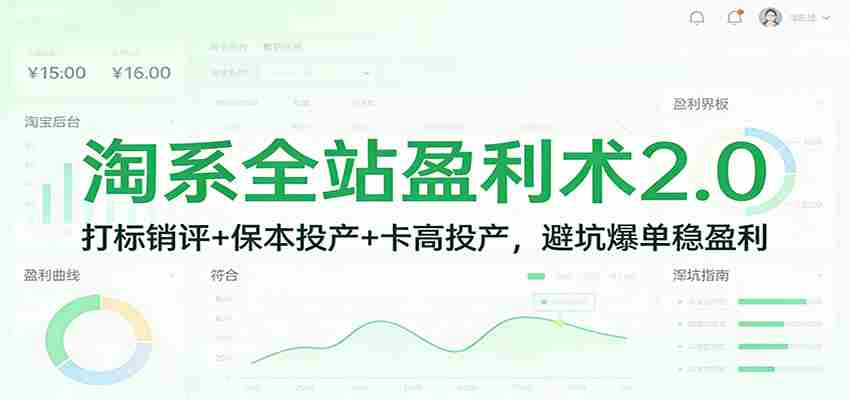 淘系全站盈利术2.0：打标销评+保本投产+卡高投产，避坑爆单稳盈利-中创网_分享创业项目_助您在家赚钱