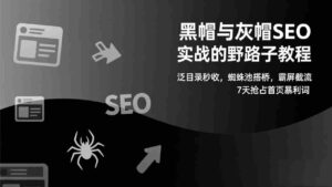 (17125期)黑帽与灰帽SEO实战的野路子教程:泛目录秒收,蜘蛛池搭桥,霸屏截流,7天抢占首页暴利词-中创网_分享创业项目_助您在家赚钱