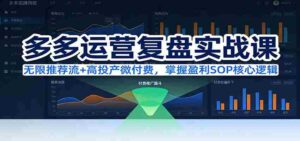 多多运营复盘实战课:无限推荐流+高投产微付费,掌握盈利SOP核心逻辑(更新)-中创网_分享创业项目_助您在家赚钱
