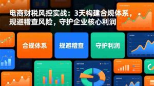 (17197期)电商财税风控实战:3天构建合规体系,规避稽查风险,守护企业核心利润-中创网_分享创业项目_助您在家赚钱