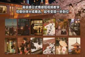 高级感日式情感短视频教学，可做伙伴分成精选，起号变现一步到位-中创网_分享创业项目_助您在家赚钱