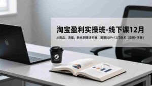 (17079期)淘宝盈利实操班-线下课12月,从选品、流量、转化到渠道拓展,掌握SOP+12门技术(音频+字幕)-中创网_分享创业项目_助您在家赚钱