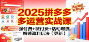 2025拼多多运营实战课:强付费+微付费+活动爆流,解锁盈利玩法(更新)-中创网_分享创业项目_助您在家赚钱
