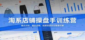淘系店铺操盘手训练营:模式识别,爆款逻辑,有限资源找店铺最优解-中创网_分享创业项目_助您在家赚钱
