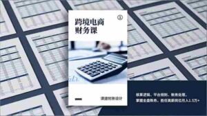 (17036期)跨境电商财务课,核算逻辑、平台规则、账务处理,掌握全盘账务,胜任高薪岗位月入1.5万+-中创网_分享创业项目_助您在家赚钱