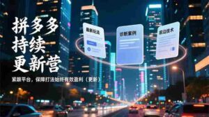 (16987期)拼多多持续更新营,最新玩法、诊断案例、前沿技术,紧跟平台,保障打法始终有效盈利(更新)-中创网_分享创业项目_助您在家赚钱