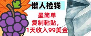 最简单复制粘贴,1天收入99美金,懒人捡钱挣美刀,3分钟学会-中创网_分享创业项目_助您在家赚钱