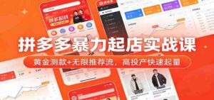 拼多多暴力起店实战课:黄金测款+无限推荐流,高投产快速起量-中创网_分享创业项目_助您在家赚钱